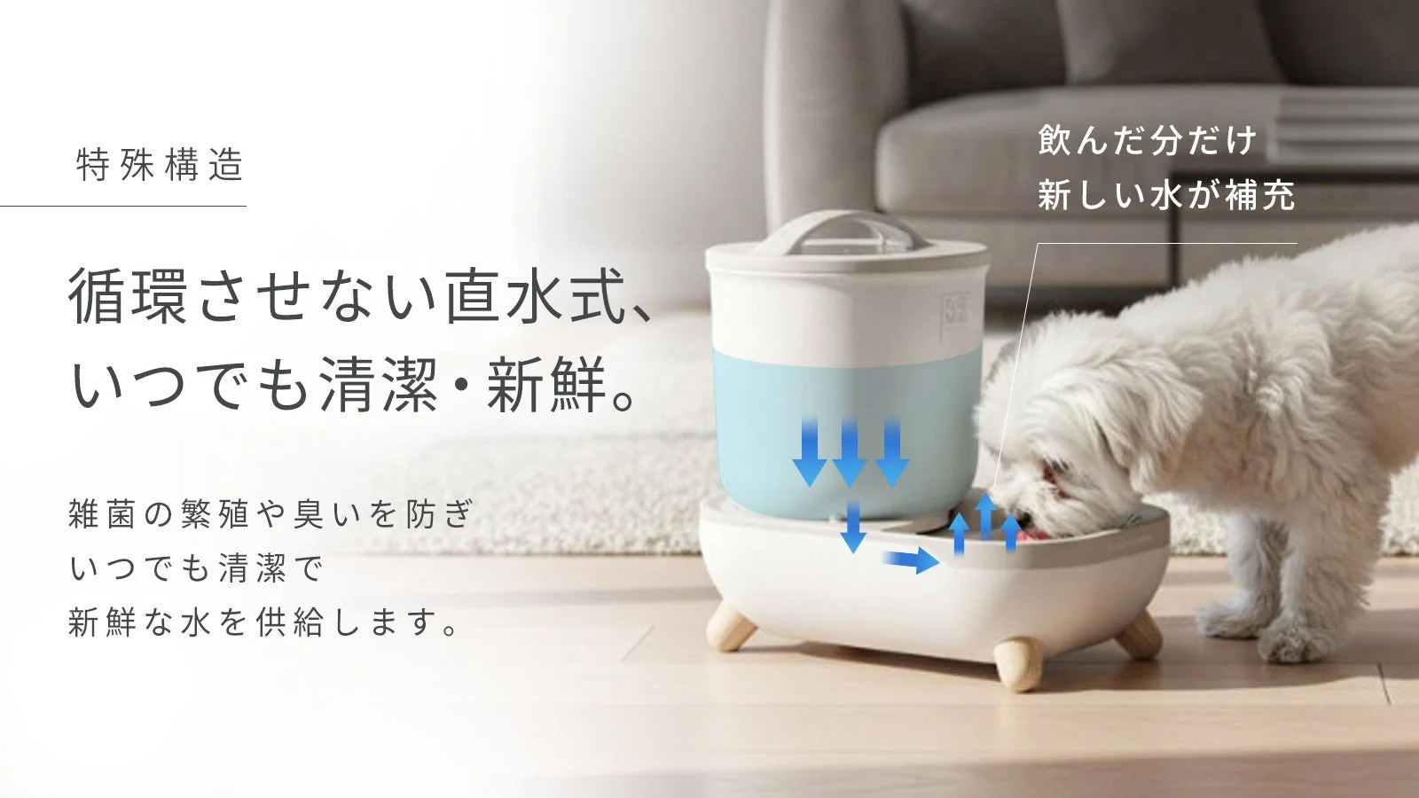 犬が直水式の給水器から水を飲んでいる様子。この給水器は水を循環させず、飲んだ分だけ新しい水が補充されるため、雑菌の繁殖や臭いを防ぎ、いつでも清潔で新鮮な水を供給できる特殊構造を持つことをアピールしている画像です。