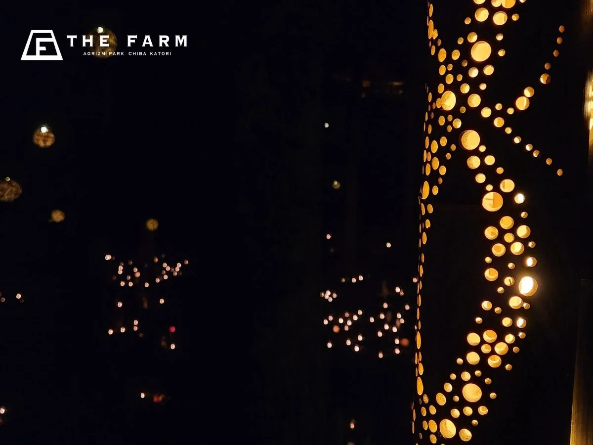 無数の光が灯る幻想的な竹あかりの夜景