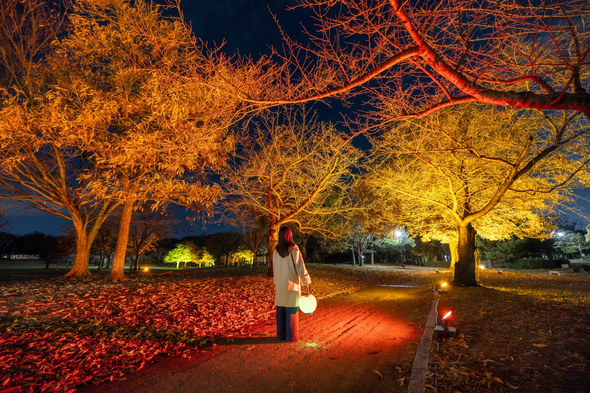 黄金色にライトアップされた木々と光るランタンを持つ女性