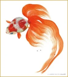 白い背景に、長く優雅な尾を持つ赤い斑点の金魚が描かれた美しいイラストです。和風の雰囲気を感じさせます。
