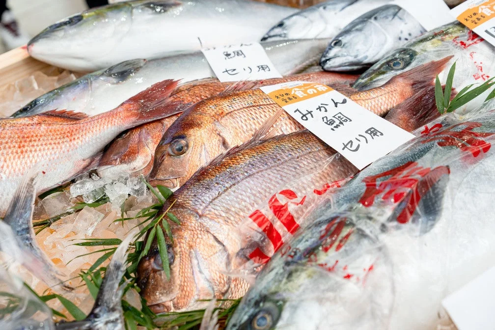 鮮魚が並ぶ市場の様子