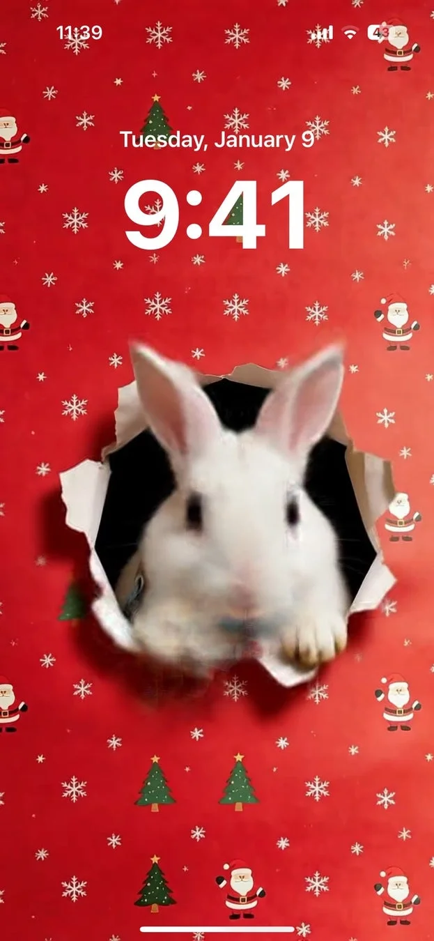 クリスマスの紙