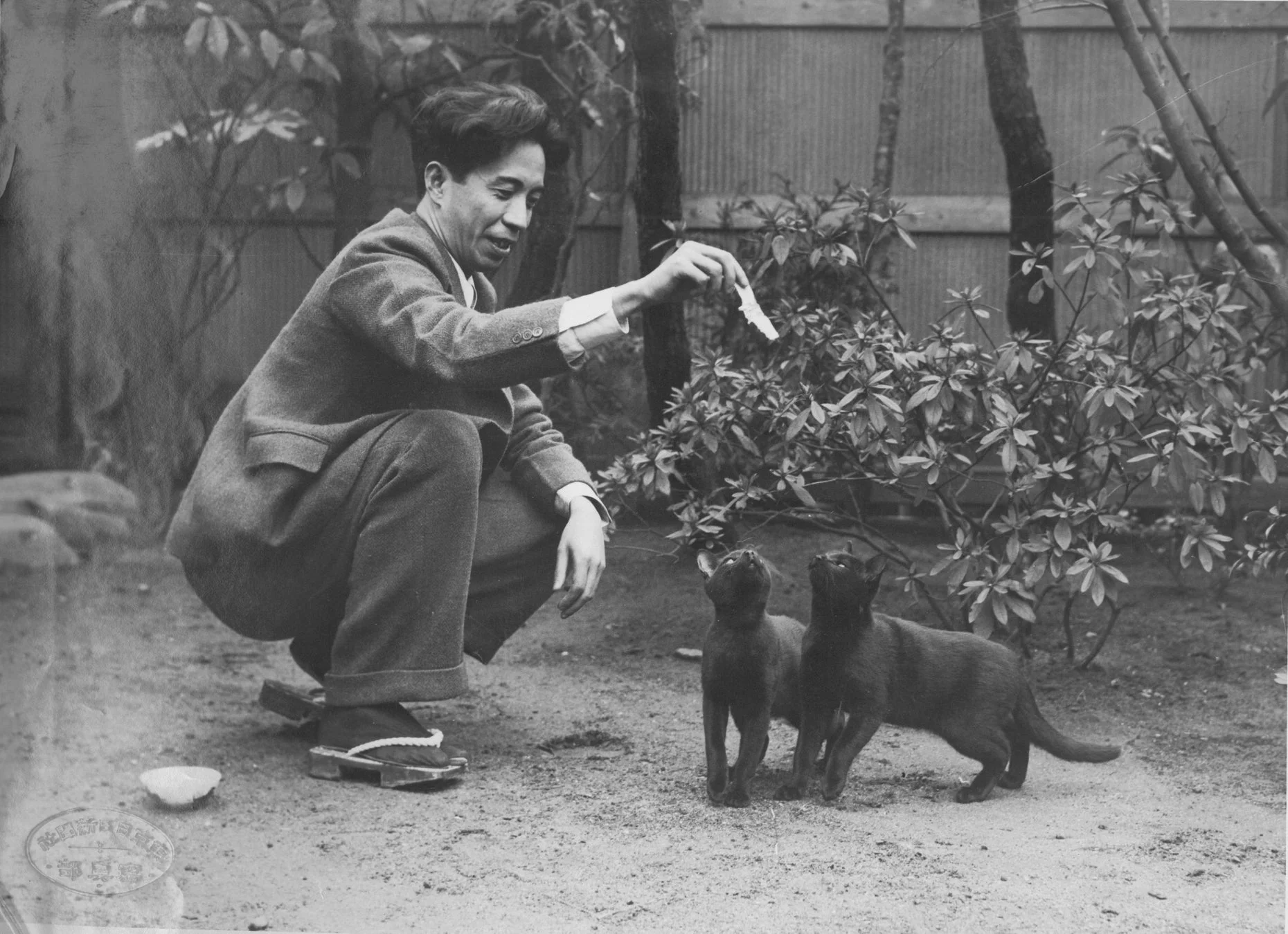 男性が猫に餌やりをしている白黒写真