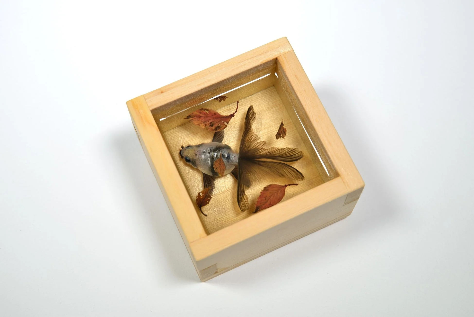 木製の箱の中に透明感のある金魚と数枚の枯葉が配置された、静物のアート作品