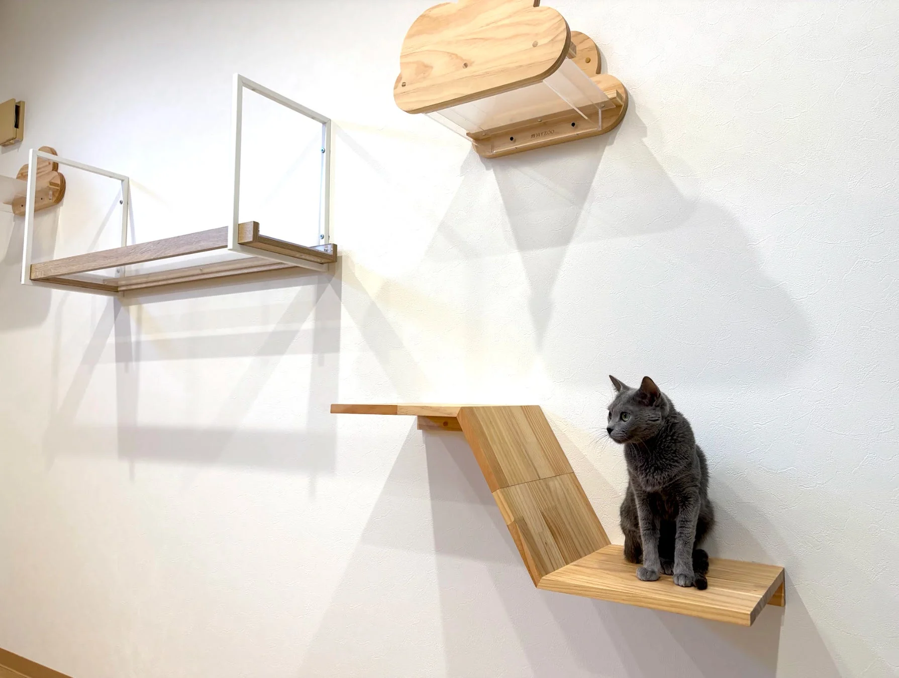木製のキャットステップに座る灰色の猫。白い壁には雲の形をした棚やキャットウォークが設置され、猫の遊び場としてデザインされたモダンなインテリア空間です。