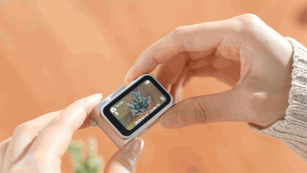 200万画素で撮影された植物