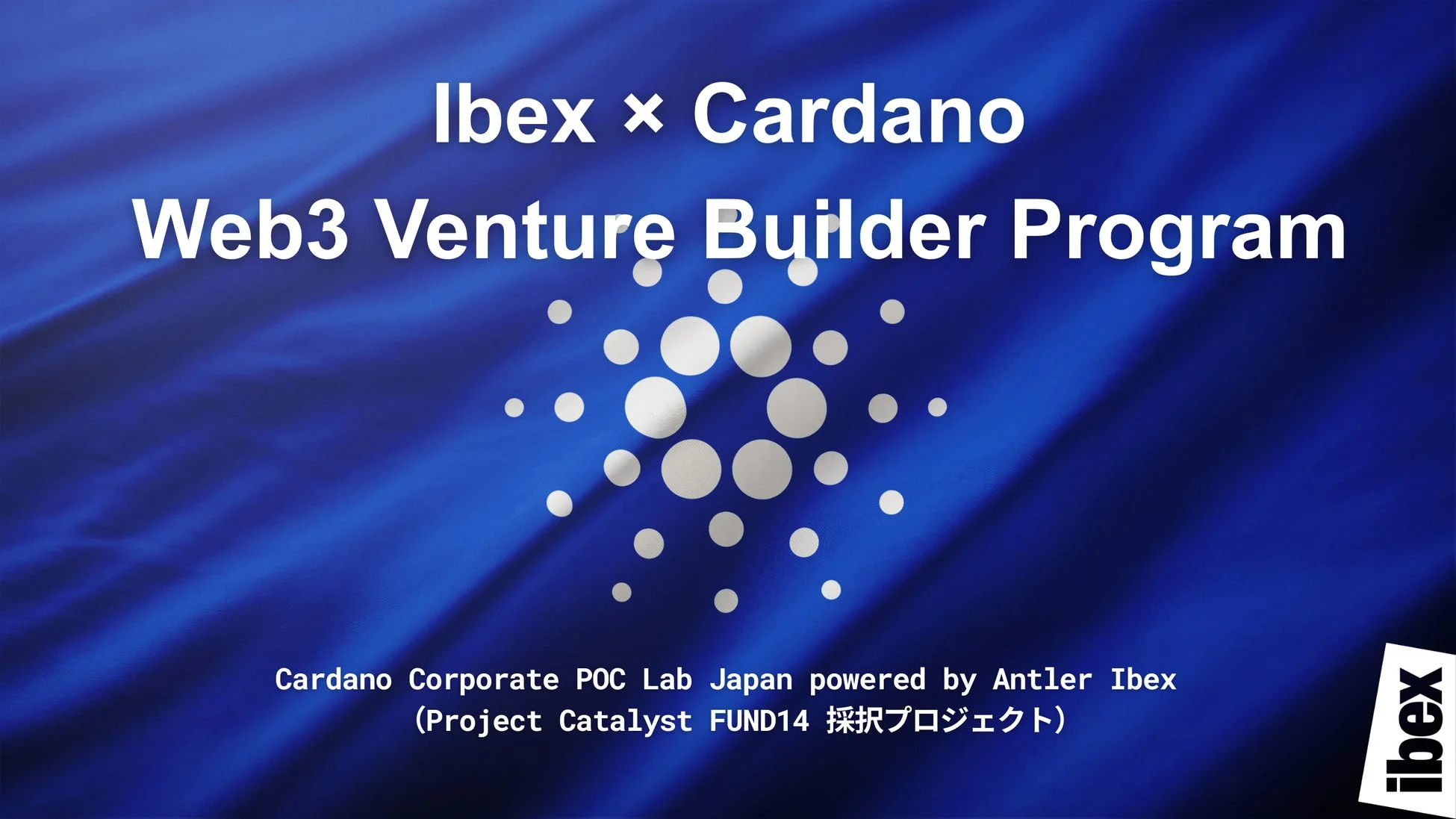 Ibex x Cardano Web3 Venture Builder Program