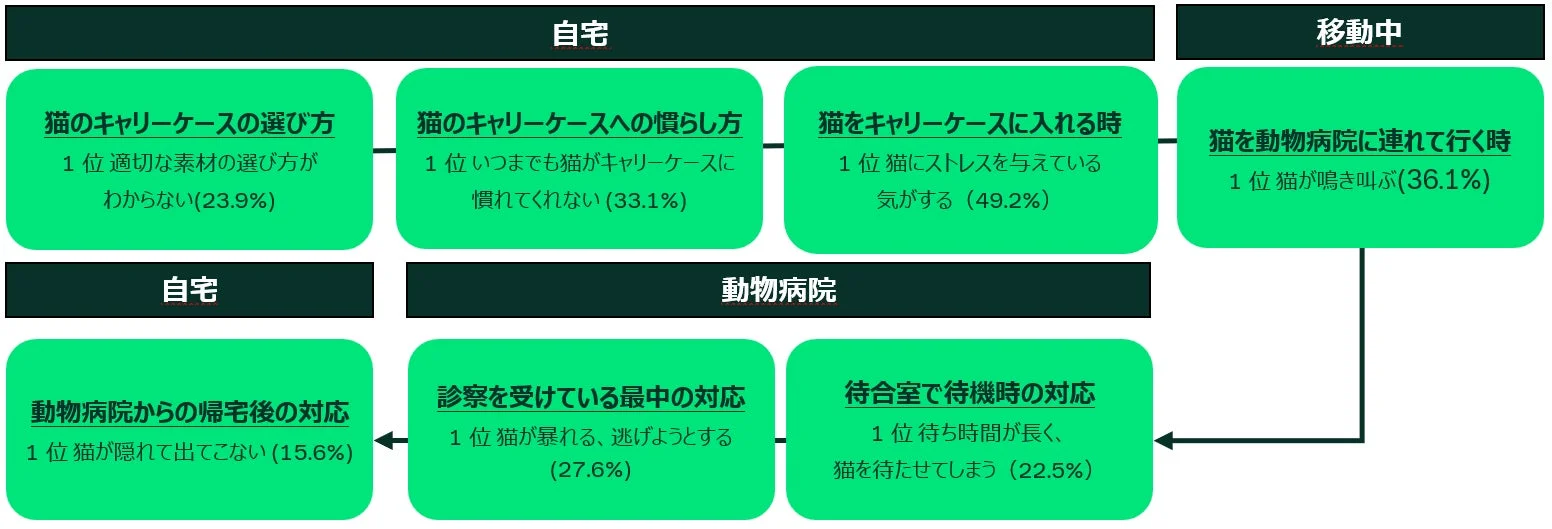 猫を動物病院へ連れて行く際の、自宅から移動中、動物病院、帰宅後における猫と飼い主の主な困りごとやストレス要因を段階別に示した図
