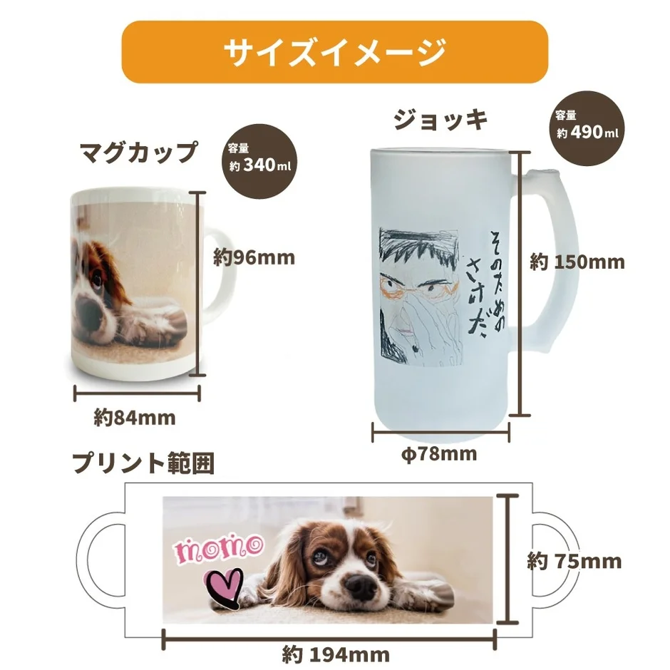 マグカップとジョッキのサイズ比較