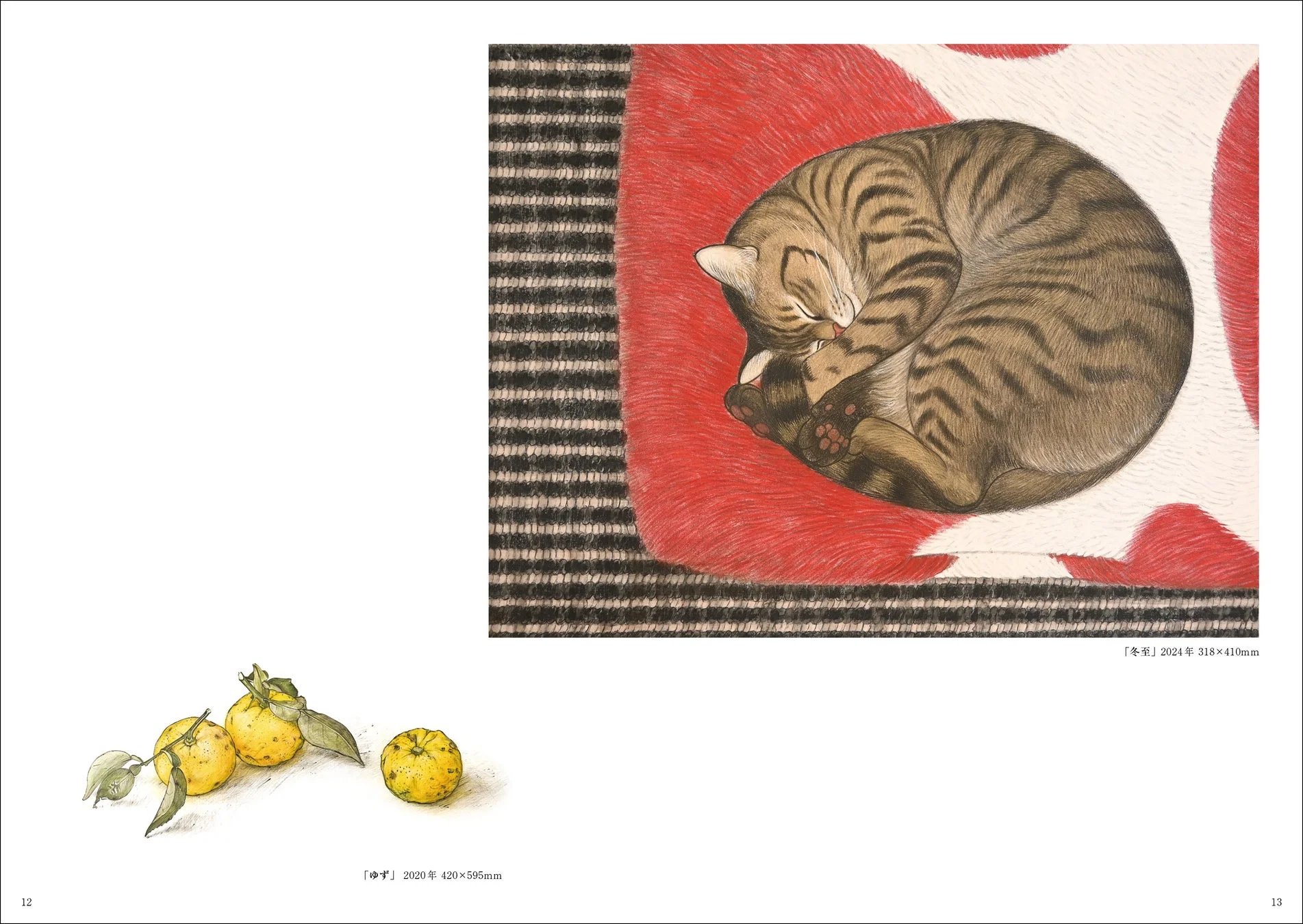 眠るタビー猫とゆず