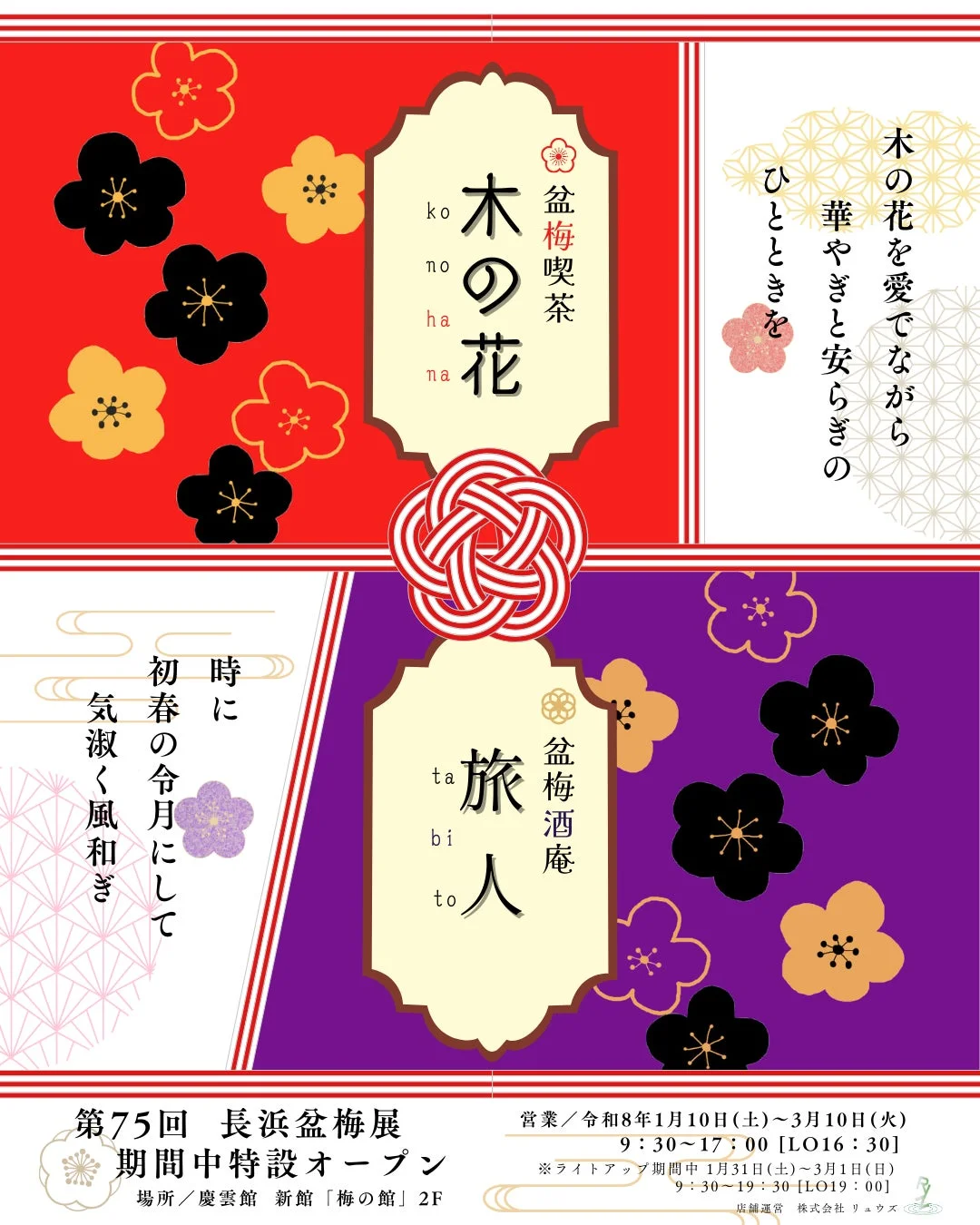 長浜盆梅展,盆梅,梅,イベント,展示会,喫茶,酒庵,日本文化,和風,伝統