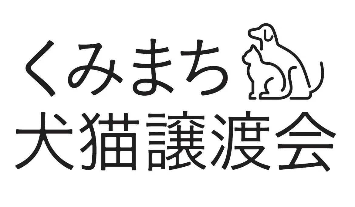 くみまち保護猫譲渡会