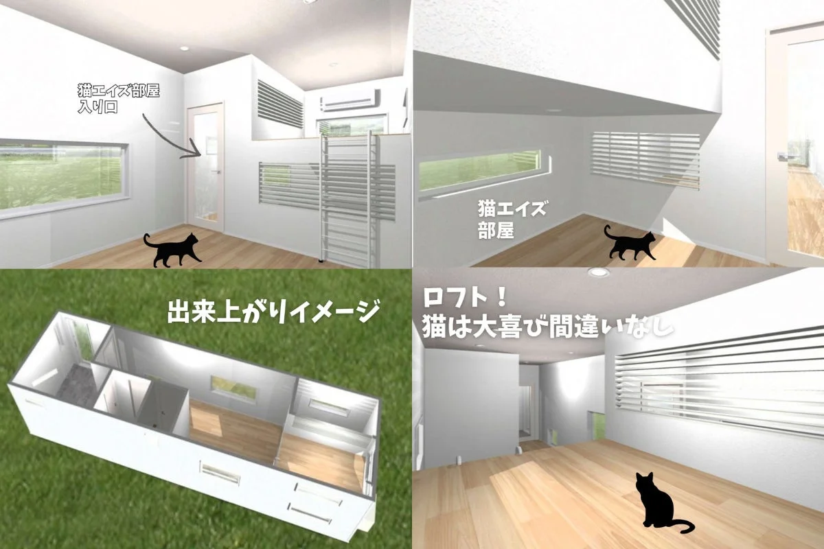 猫が快適に過ごせるようにデザインされた住宅の建築イメージ