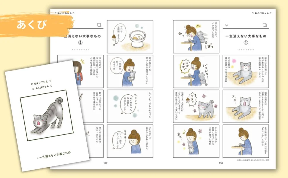 猫白血病キャリアの猫