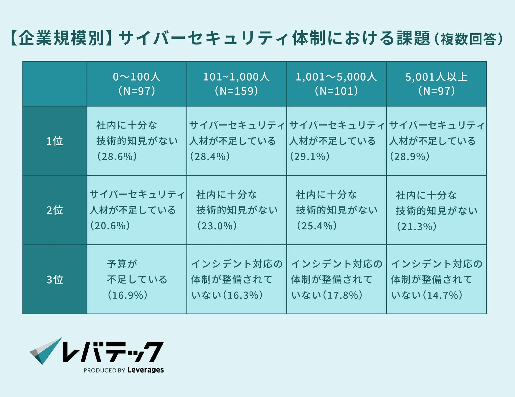 企業規模別サイバーセキュリティ体制における課題