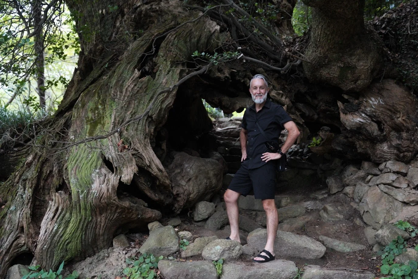 巨木の根元に立つ男性