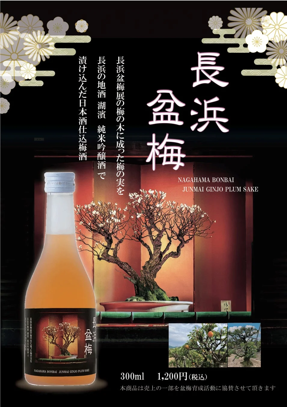 梅酒,日本酒,盆梅,長浜,純米吟醸,酒,リキュール,伝統,支援