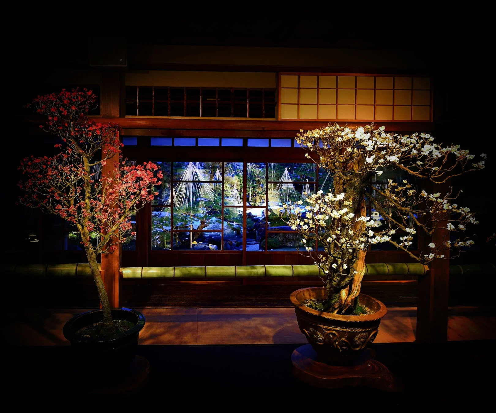 盆栽,日本庭園,和室,花,夜景,ライトアップ,冬景色,屋内,赤,白