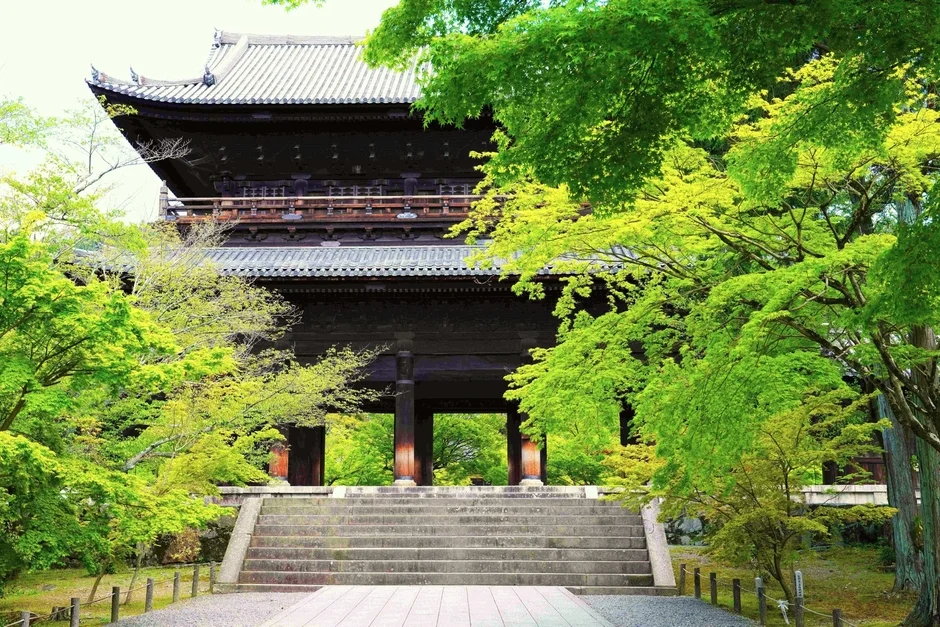 新緑の美しい寺院の門