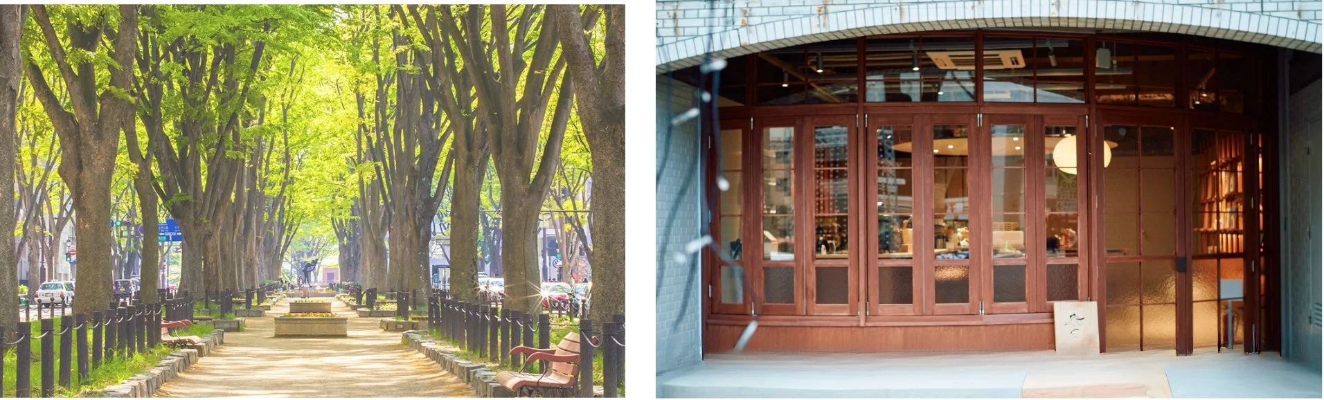 欅並木と調和する店舗の外観イメージ