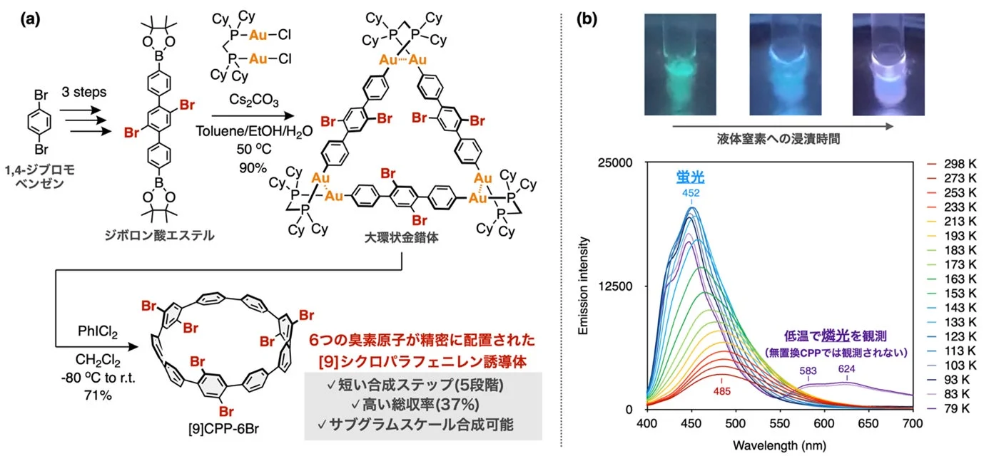 図1. 精密に6つの臭素原子を配置した新規[9]シクロパラフェニレン誘導体（[9]CPP-6Br）の合成と光物性