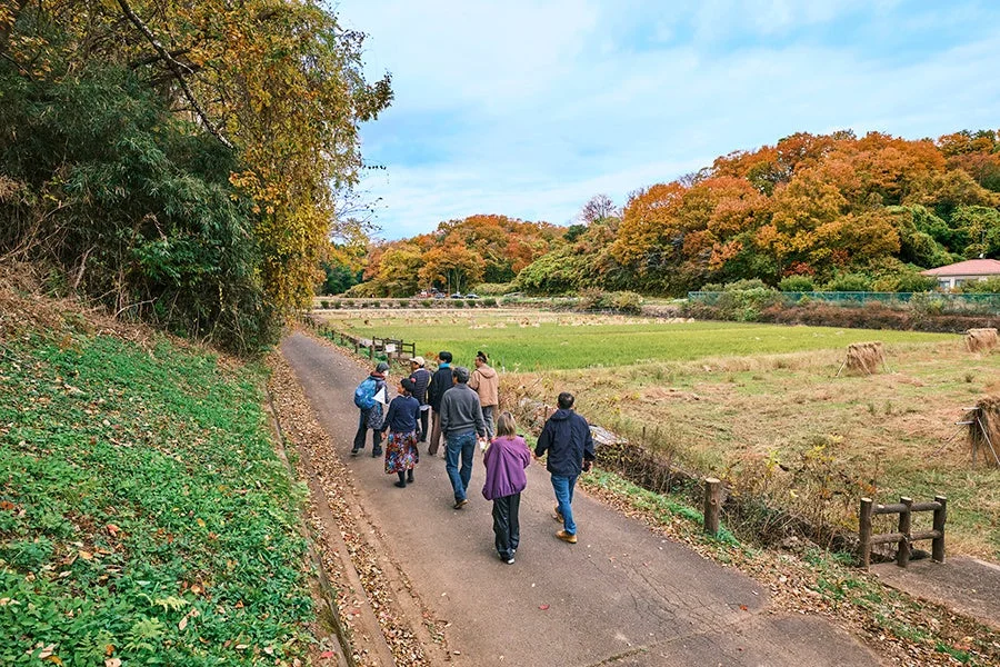 秋の紅葉の中を散策する人々