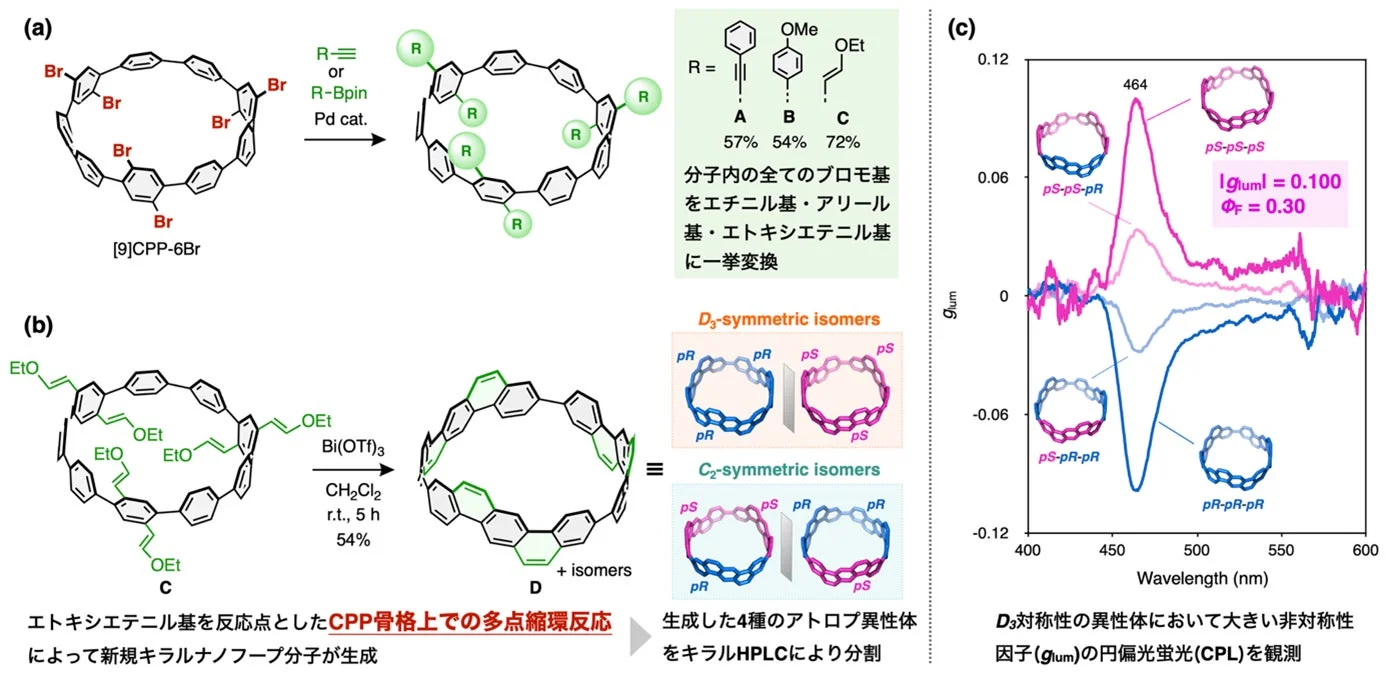 図2. [9]CPP-6Brを基盤とした後期修飾およびπ拡張によるキラルナノフープ分子の構築