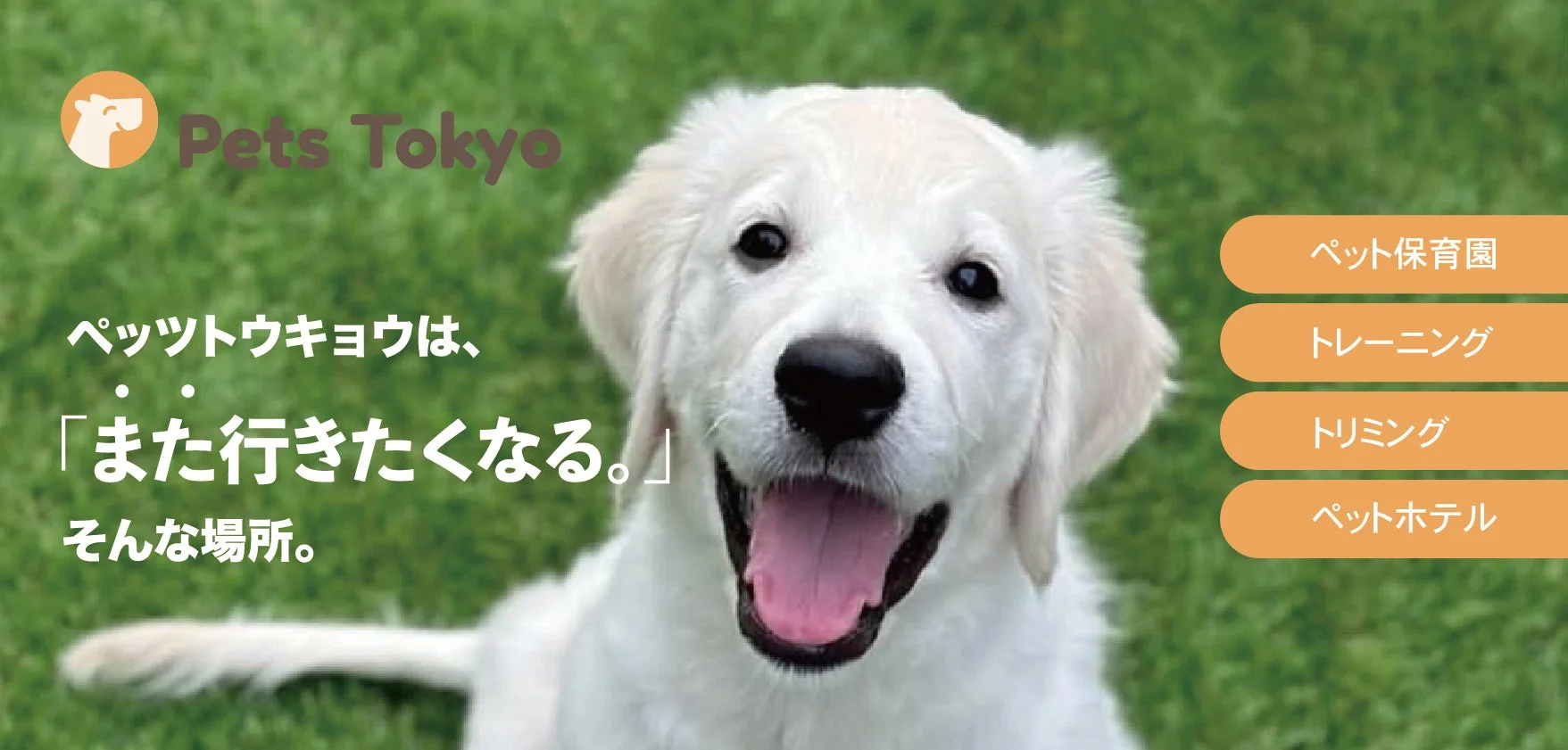 Pets Tokyoのサービス紹介