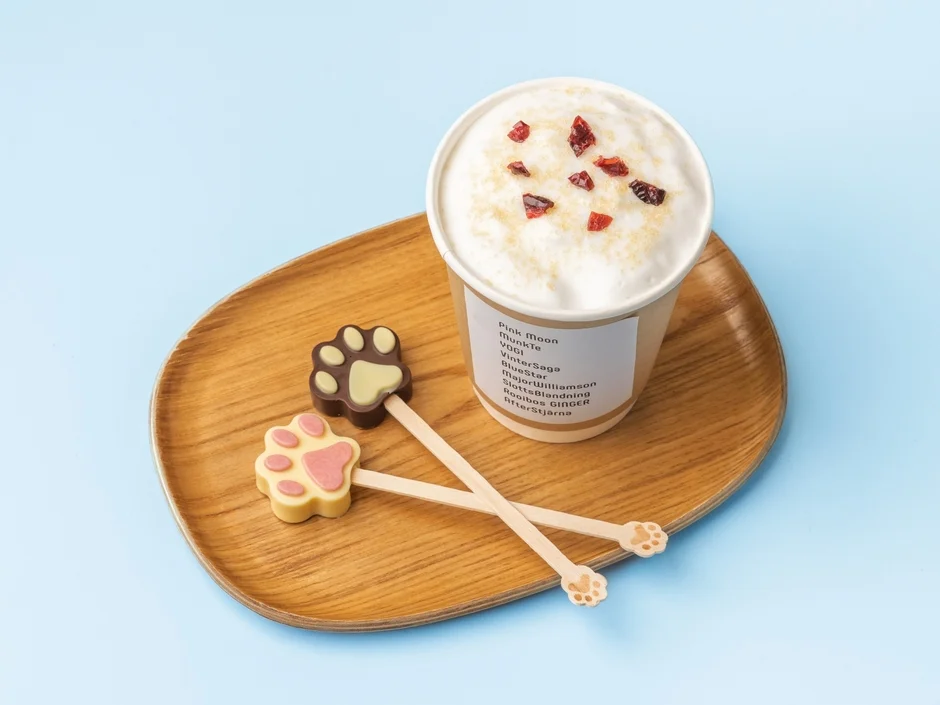 キャット ホットチャイ