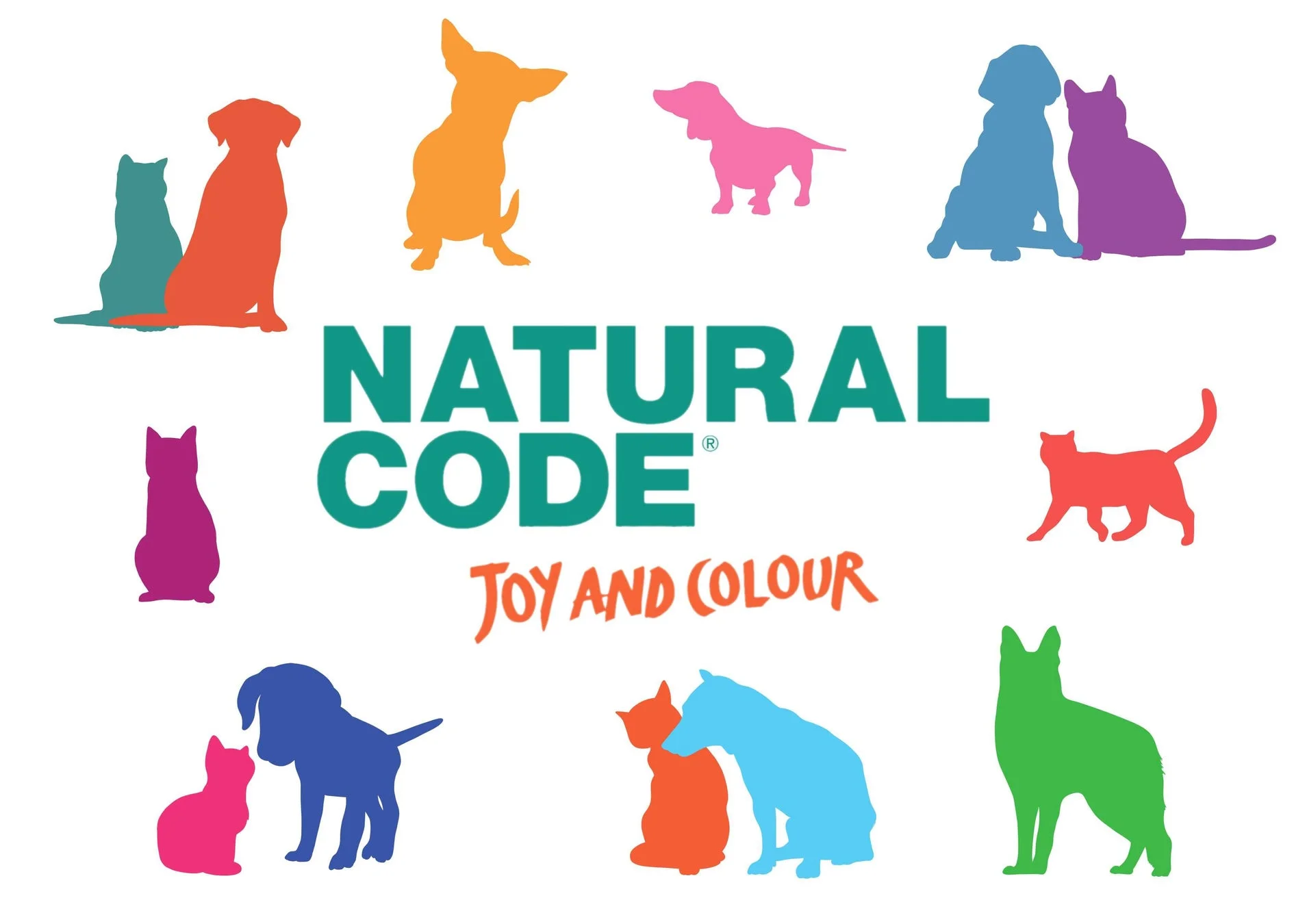 NATURAL CODE ロゴ