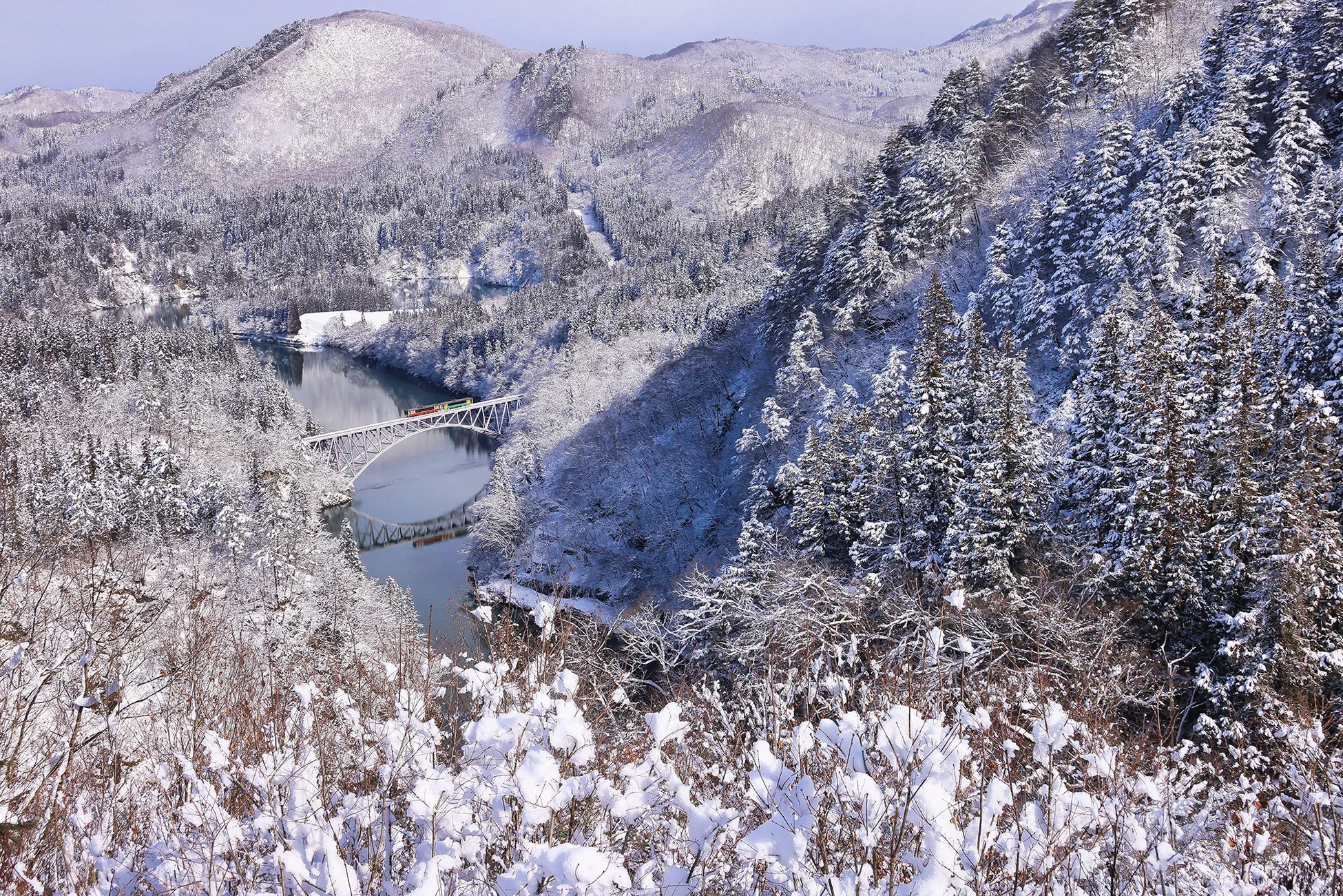 雪山と森林を背景に走る列車