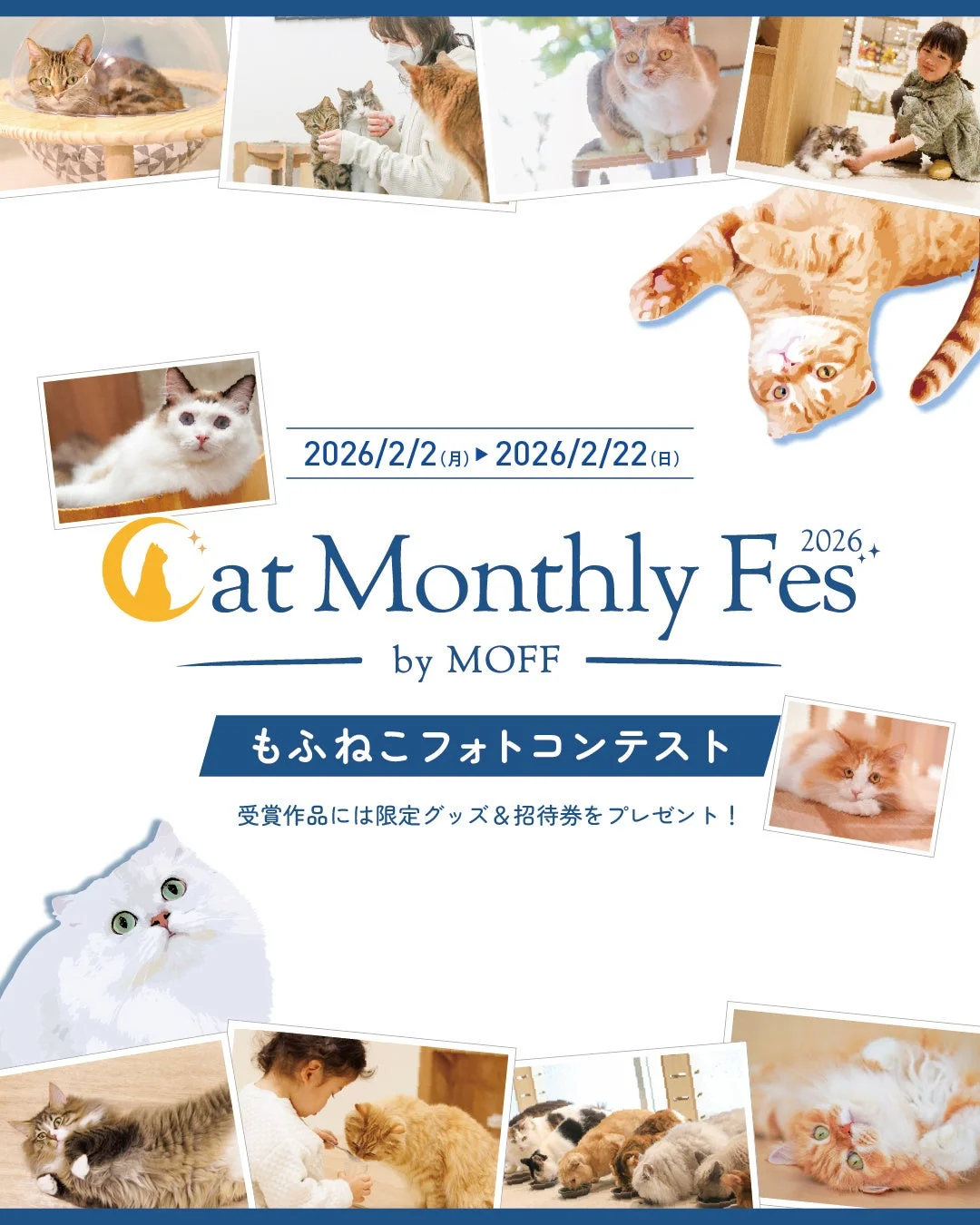 もふねこフォトコンテストの告知ポスター