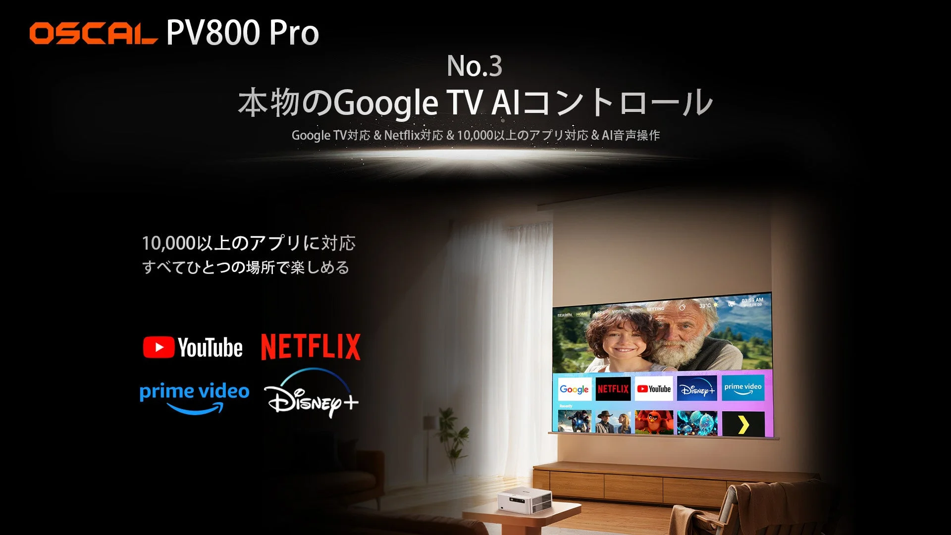 True Google TV内蔵とNetflix対応