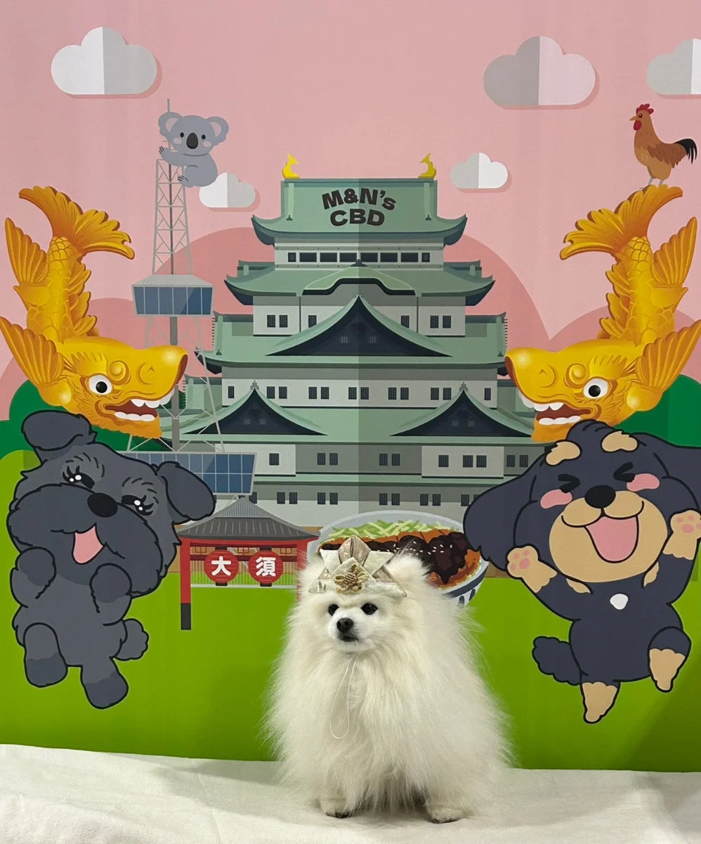 城主コスプレフォトスポット