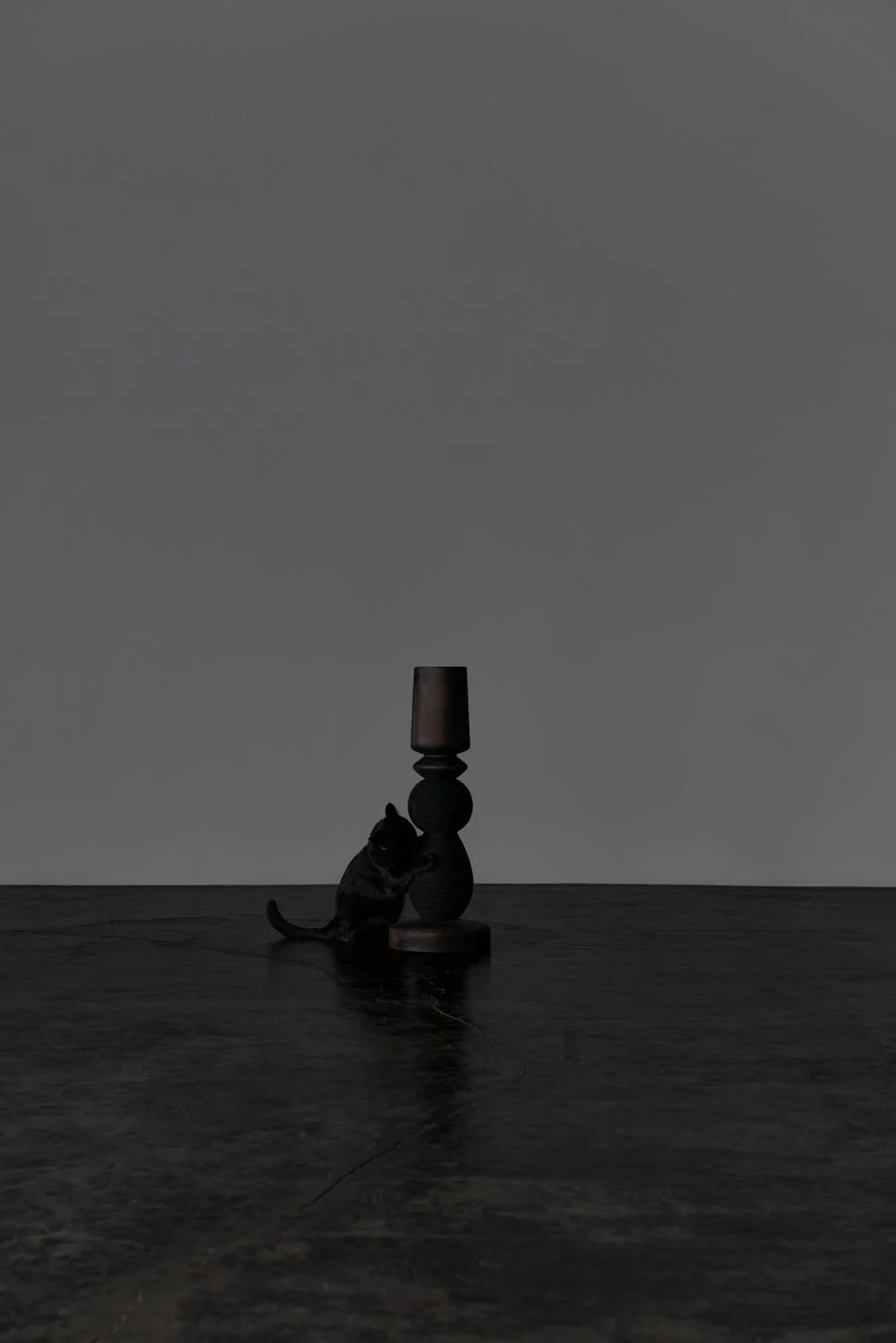 Skuggi / Scratching Reg