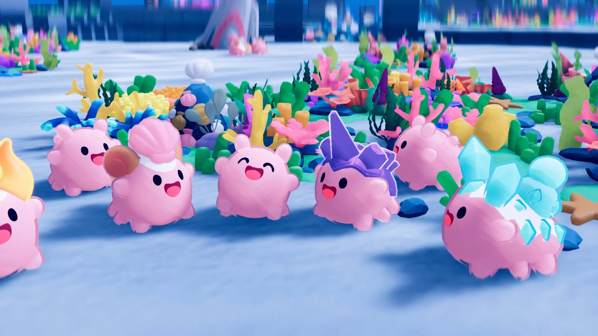 ユニークなナマコ3