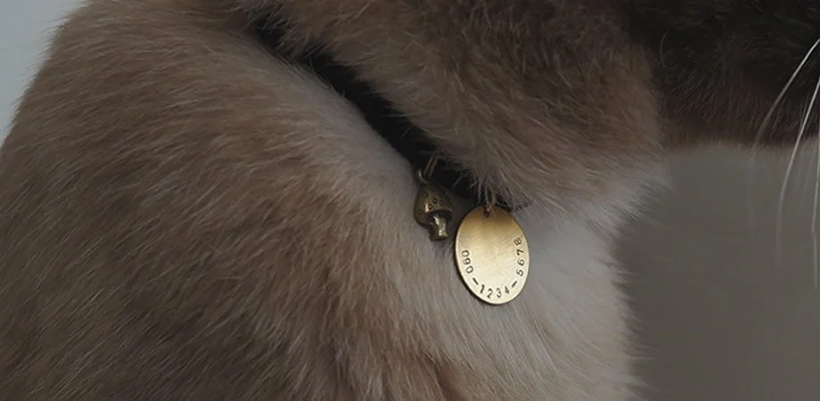 猫の首輪につけられたネームチャーム