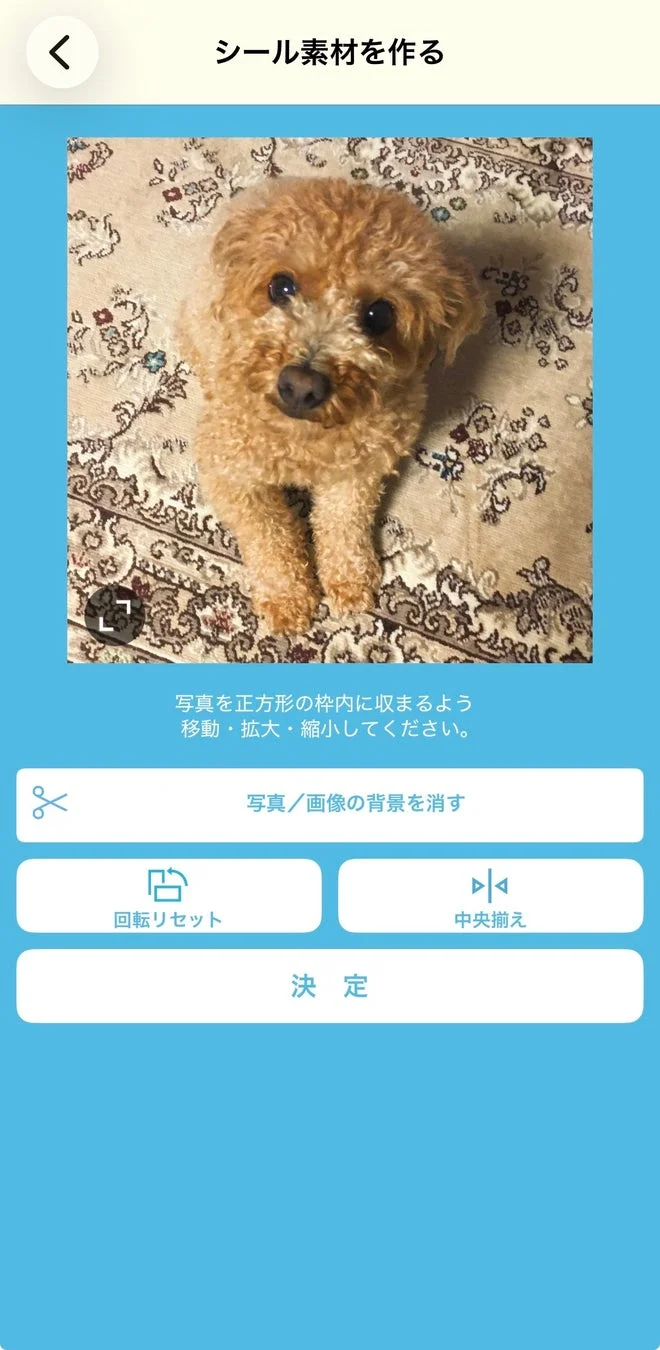 犬の背景除去例