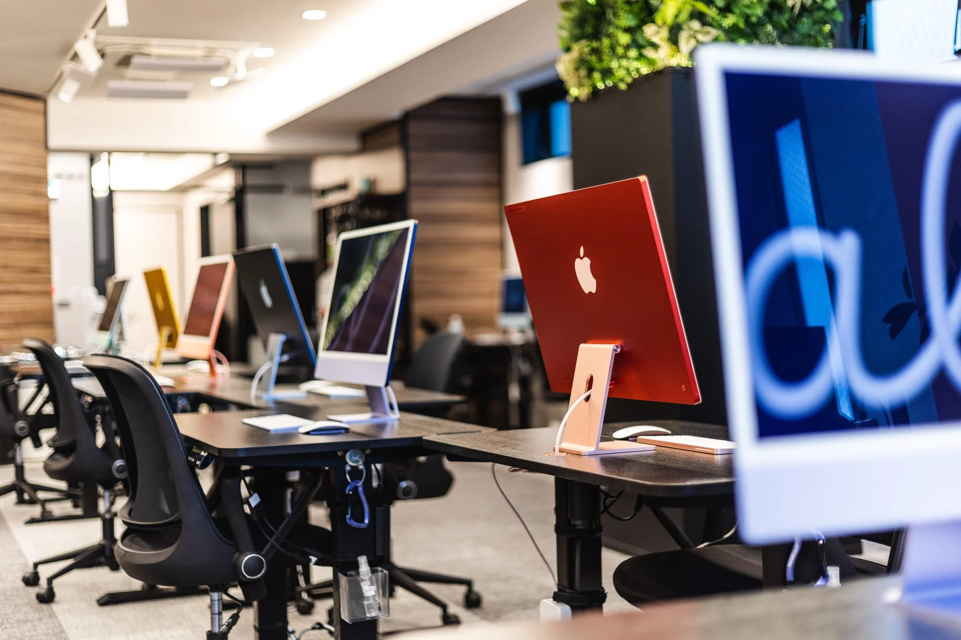カラフルなiMacが並べられたモダンなオフィス空間