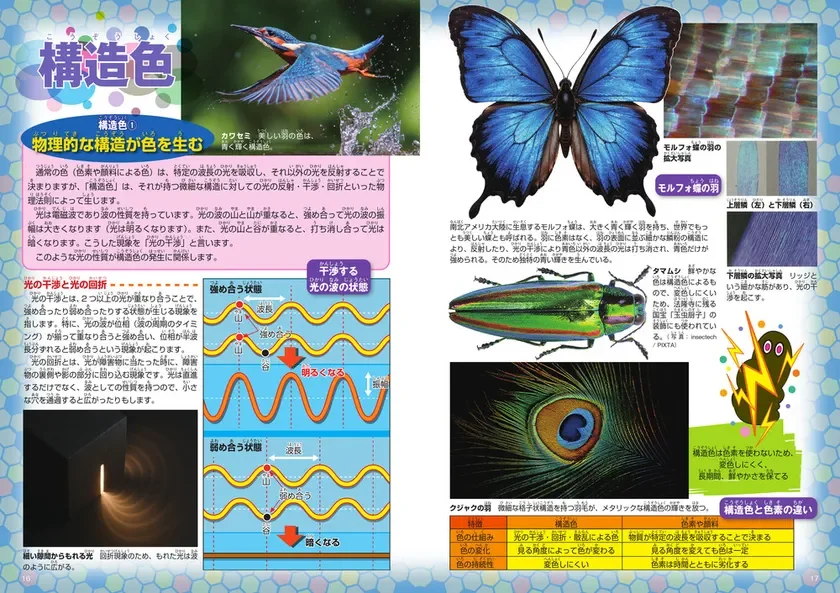 ずかん「色」(技術評論社) 構造色