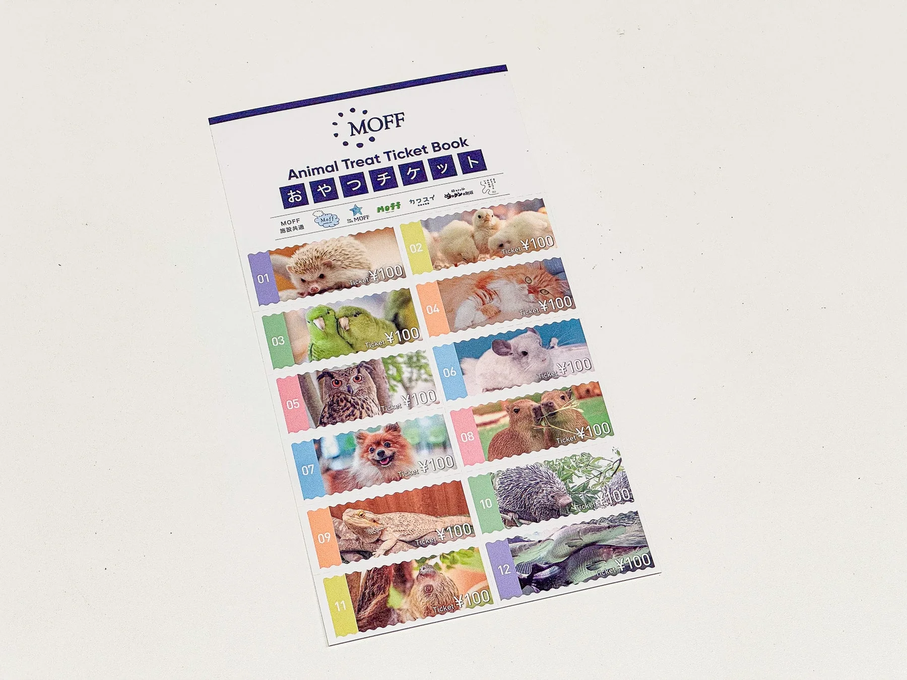 もふねこ袋の動物おやつ回数券