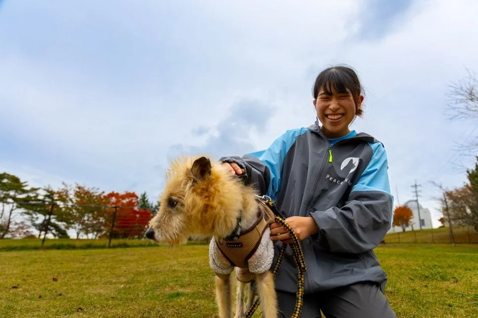 秋の公園で犬と散歩する女性