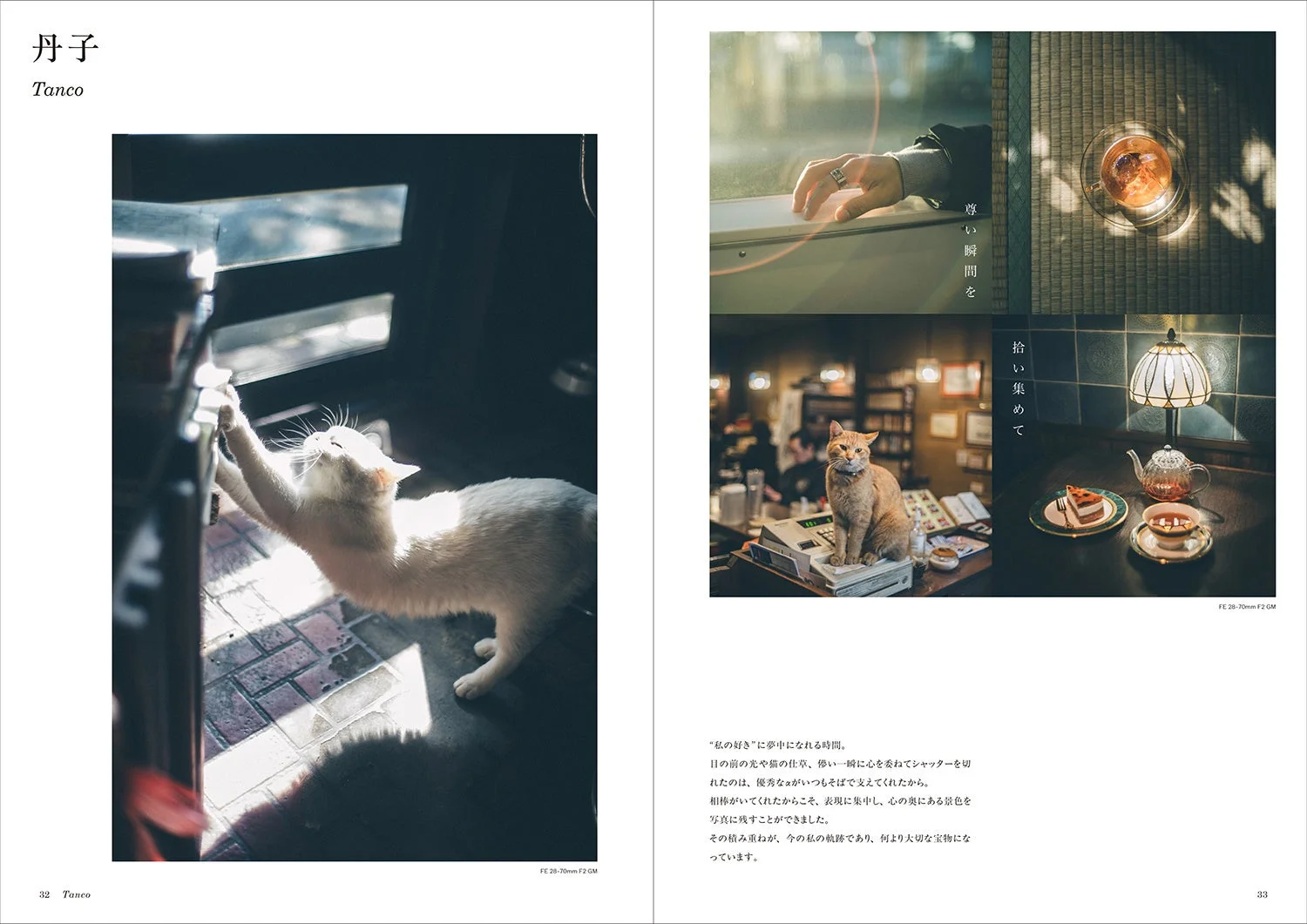 猫と過ごす穏やかな日常の瞬間を集めた写真集の一ページ