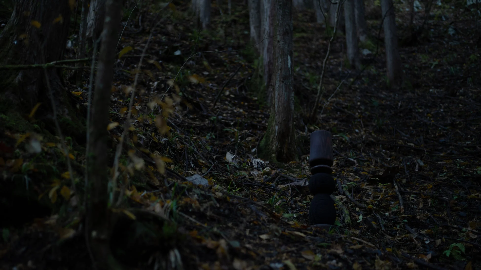 Skuggi / Scratching Reg