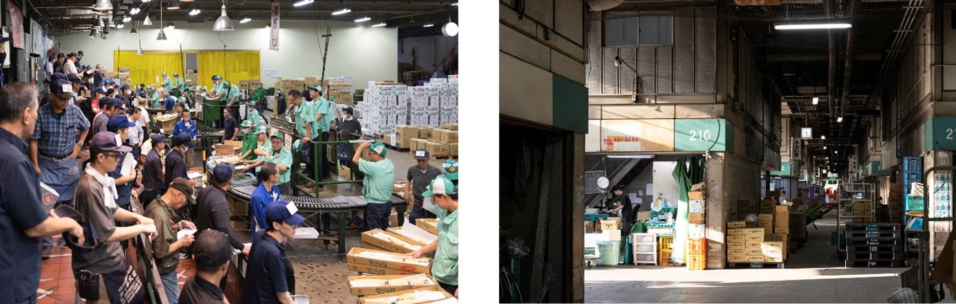 卸売市場の様子