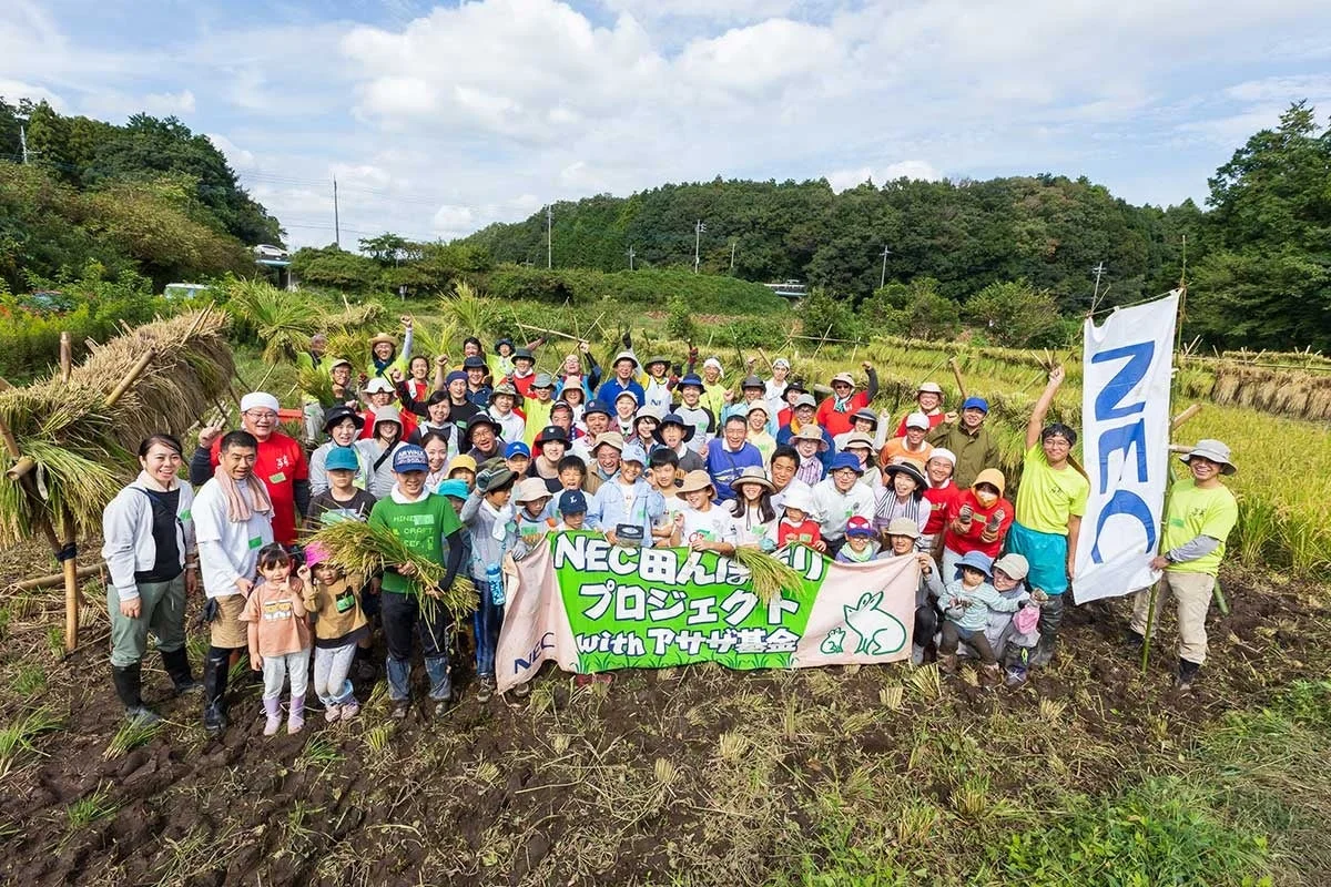 NEC田んぼプロジェクトでの収穫の様子