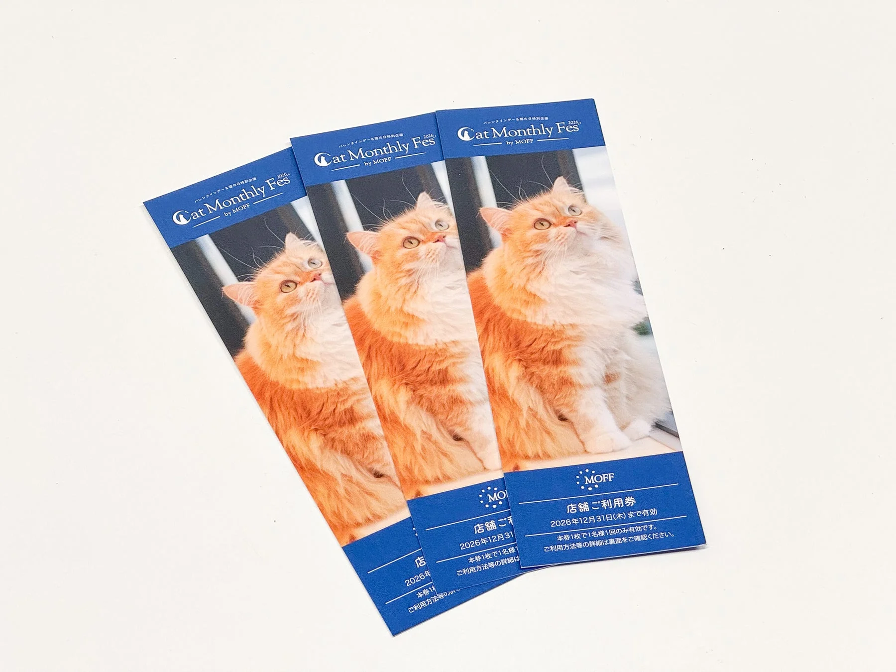 もふねこ袋の店舗利用券