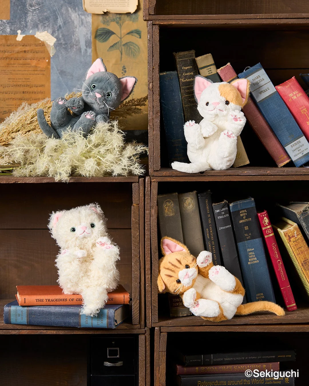 木製の本棚に複数の猫のぬいぐるみが並べられた様子