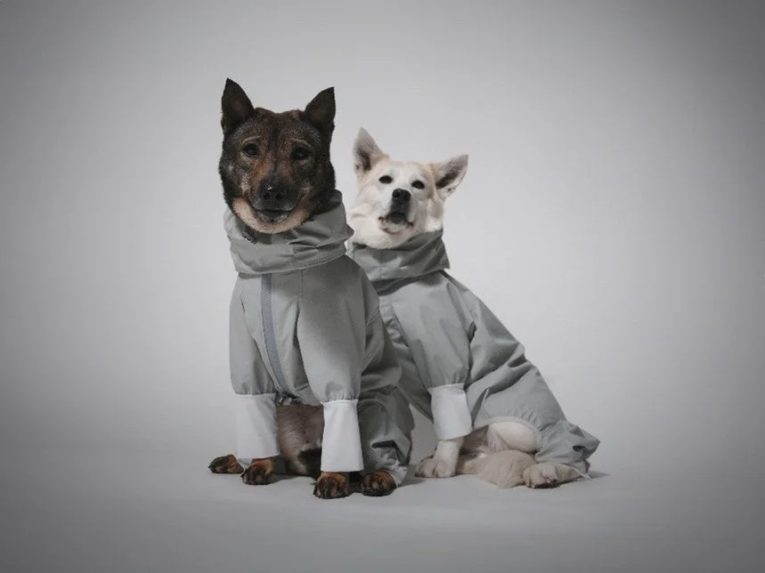 グレーのお揃いのレインコートを着用した2匹の犬