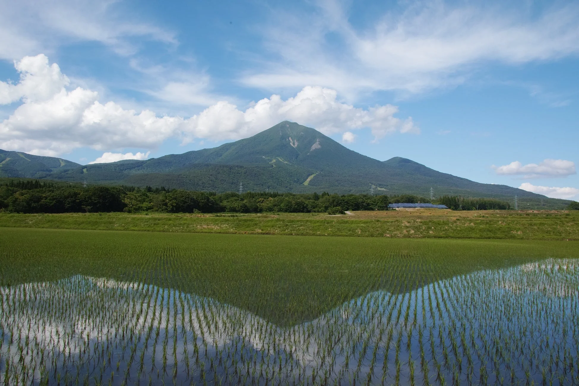 青い空と白い雲の下、緑豊かな山が手前の水田に鮮やかに映し出されています。